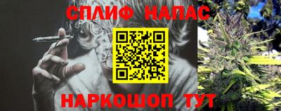 прущие грибы Балаково